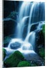 Waterfall in Yosemite National Park by Anonymous
