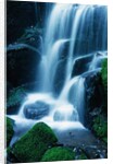 Waterfall in Yosemite National Park by Anonymous