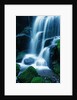 Waterfall in Yosemite National Park by Anonymous