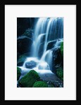 Waterfall in Yosemite National Park by Anonymous