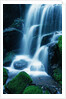 Waterfall in Yosemite National Park by Anonymous