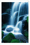 Waterfall in Yosemite National Park by Anonymous