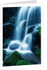 Waterfall in Yosemite National Park by Anonymous