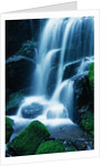 Waterfall in Yosemite National Park by Anonymous