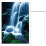 Waterfall in Yosemite National Park by Anonymous