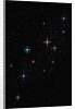 Stars by Anonymous