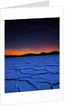 Star Trails Over Salt Pan by Anonymous
