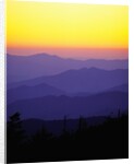 Great Smoky Mountains at Twilight by Anonymous