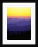 Great Smoky Mountains at Twilight by Anonymous