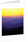Great Smoky Mountains at Twilight by Anonymous