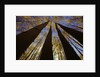 Towering Aspens by Anonymous