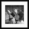 Brittany Spaniels Waiting Patiently by Anonymous