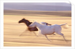 Horses Running by Anonymous