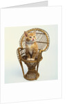 Kitten Sitting on Chair by Anonymous