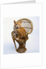 Kitten Sitting on Chair by Anonymous