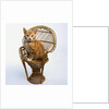 Kitten Sitting on Chair by Anonymous