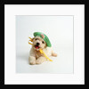 Bichon Frise Puppy Wearing Bonnet by Anonymous