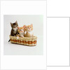 Kittens Sitting in Basket by Anonymous
