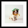 Spaniel Puppy Wearing Ribbon and Hat by Anonymous