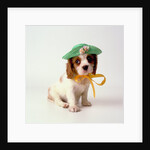 Spaniel Puppy Wearing Ribbon and Hat by Anonymous