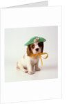 Spaniel Puppy Wearing Ribbon and Hat by Anonymous