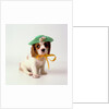 Spaniel Puppy Wearing Ribbon and Hat by Anonymous