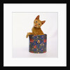 Kitten Sitting in Flowered Cookie Tin by Anonymous