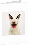 Bull Terrier by Anonymous