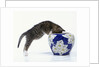 Kitten Looking in Decorated Vase by Anonymous