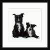 Two Terrier Puppies by Anonymous
