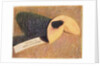 Fortune Cookie by Jennifer Kennard