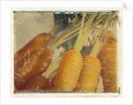 Carrots by Jennifer Kennard