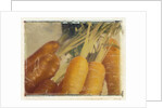 Carrots by Jennifer Kennard