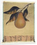 Single Pear by Jennifer Kennard