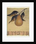 Single Pear by Jennifer Kennard