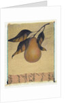Single Pear by Jennifer Kennard