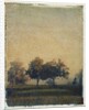 Sheep Meadow by Jennifer Kennard