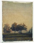 Sheep Meadow by Jennifer Kennard
