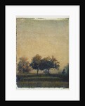 Sheep Meadow by Jennifer Kennard