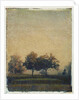 Sheep Meadow by Jennifer Kennard