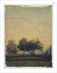 Sheep Meadow by Jennifer Kennard
