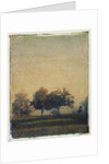 Sheep Meadow by Jennifer Kennard