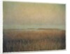 Eastham Marsh by Jennifer Kennard