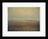 Eastham Marsh by Jennifer Kennard