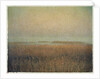 Eastham Marsh by Jennifer Kennard