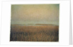 Eastham Marsh by Jennifer Kennard