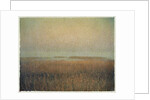 Eastham Marsh by Jennifer Kennard