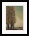 Three Poplars by Jennifer Kennard