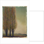 Three Poplars by Jennifer Kennard