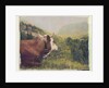 Alpine Cow by Jennifer Kennard